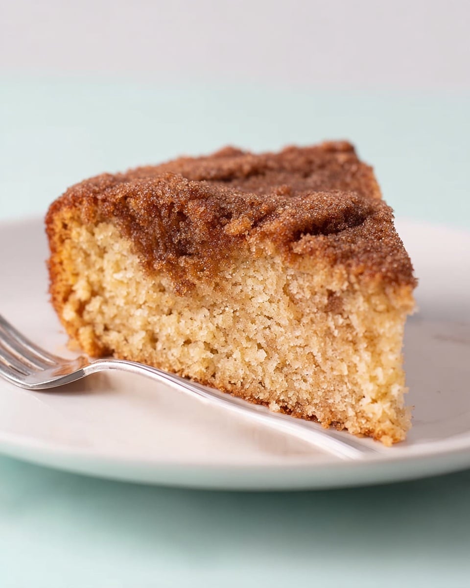 A single slice of cinnamon coffee cake sits on a white plate, showing one visible layer of light brown, soft, and moist crumb with a slightly crumbly texture. The top layer is a darker brown crumbly cinnamon sugar crust that covers the surface evenly. A silver fork rests next to the slice on the plate. The background and surface are a smooth white marbled texture with soft lighting highlighting the cake's texture clearly. photo taken with an iphone --ar 4:5 --v 7